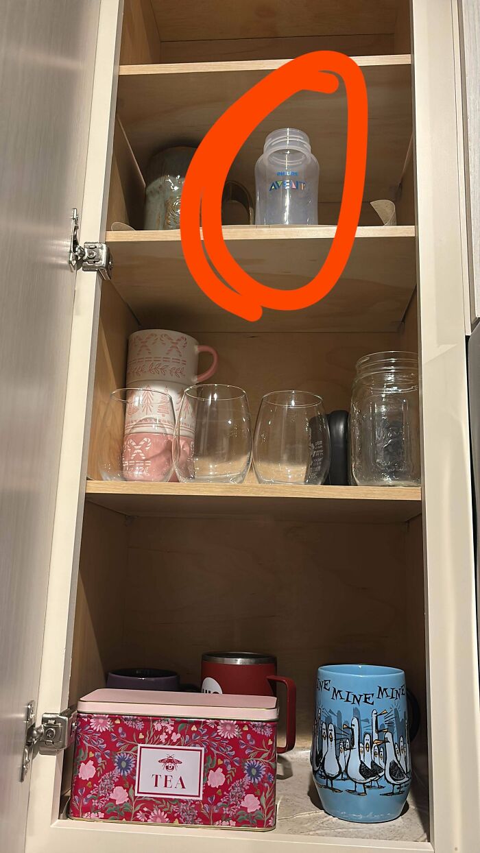 Kitchen cabinet with mugs, glasses, a tea tin, and a baby bottle circled in orange from an interesting group collection.