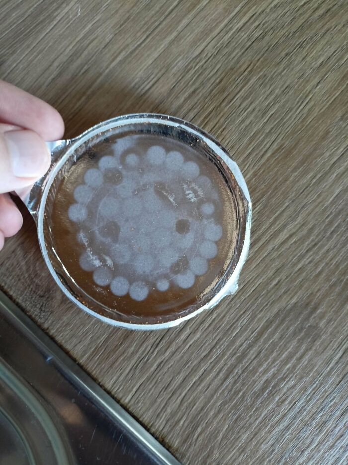 Hand holding a circular container with unusual white patterns on the surface, showcasing some things that cannot be explained.