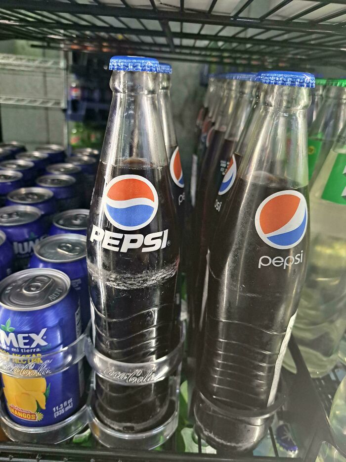 Classic glass Pepsi bottles with blue caps arranged on a fridge shelf in an interesting group display.