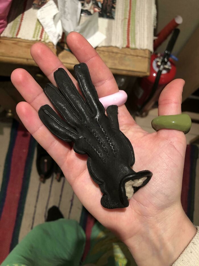 Hand holding a miniature black leather glove, showcasing an interesting pic that answers questions you didn’t know you needed.