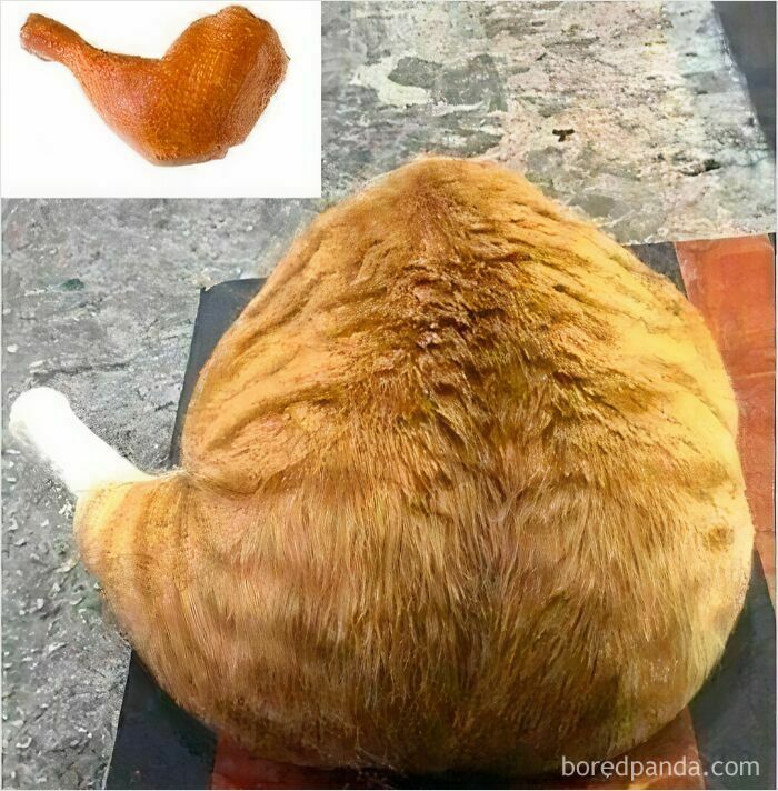 Orange tabby cat sitting curled up with a shape resembling a fried chicken drumstick, unhinged meme at 3AM humor concept.