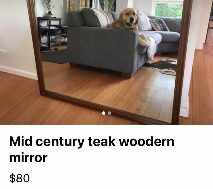Mid century teak wooden mirror for sale showing reflection of a golden retriever on a grey couch in a living room.