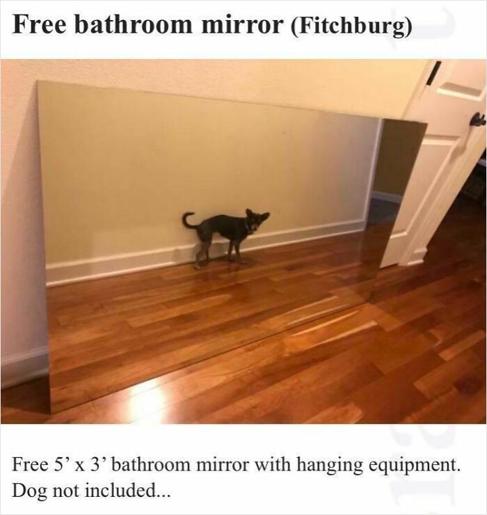Free bathroom mirror for sale showing a dog's reflection, highlighting hilarious times people sold mirrors with reflections.