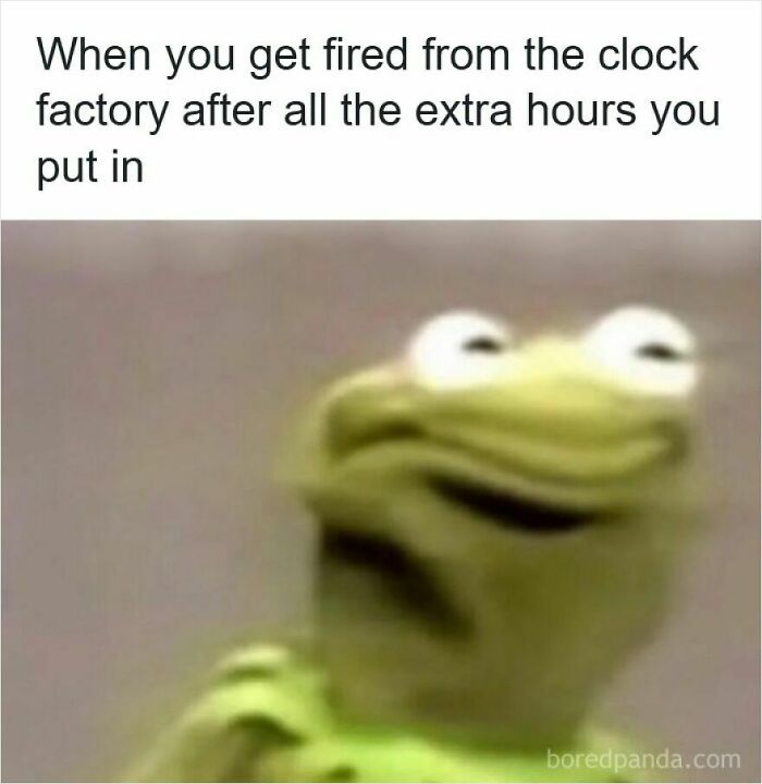 Blurry Kermit meme expressing disbelief about getting fired despite extra hours, representing funny memes about getting laid off.