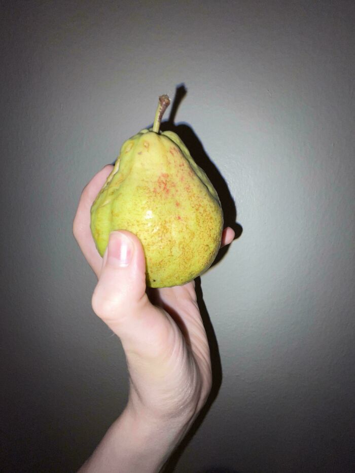 What Is This Fruit My Friend’s Mom Handed To Me?