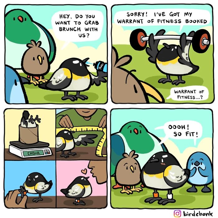 Comic panels showing birds with reversed roles, humorously depicting fitness and social interactions.