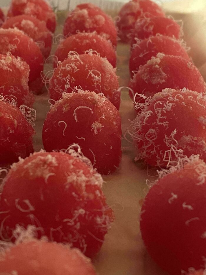 Close-up of red frozen berries with frost patterns, an interesting pic that answers questions you didn’t know you needed to ask.