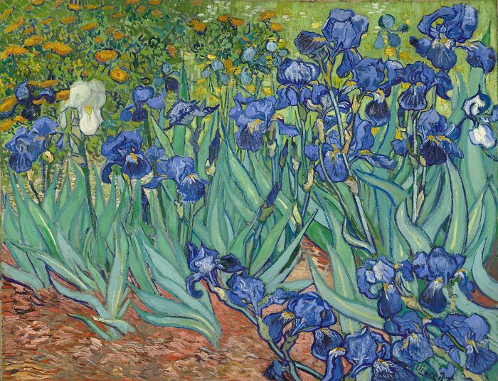 Famous painting of irises with blue and white flowers in a garden, showcasing art that changed history and value.