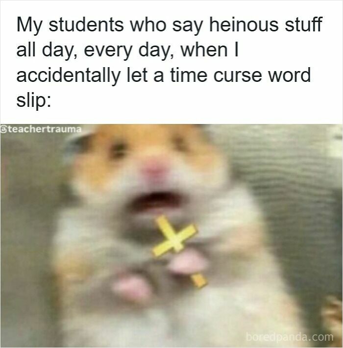 Blurred hamster clutching a cross, humorously depicting teacher trauma and funny memes for teachers who deserve a raise and a nap.
