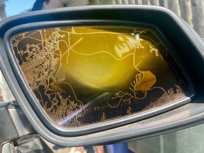 Car side mirror with frost patterns forming on the glass under sunlight in an interesting pics collection.