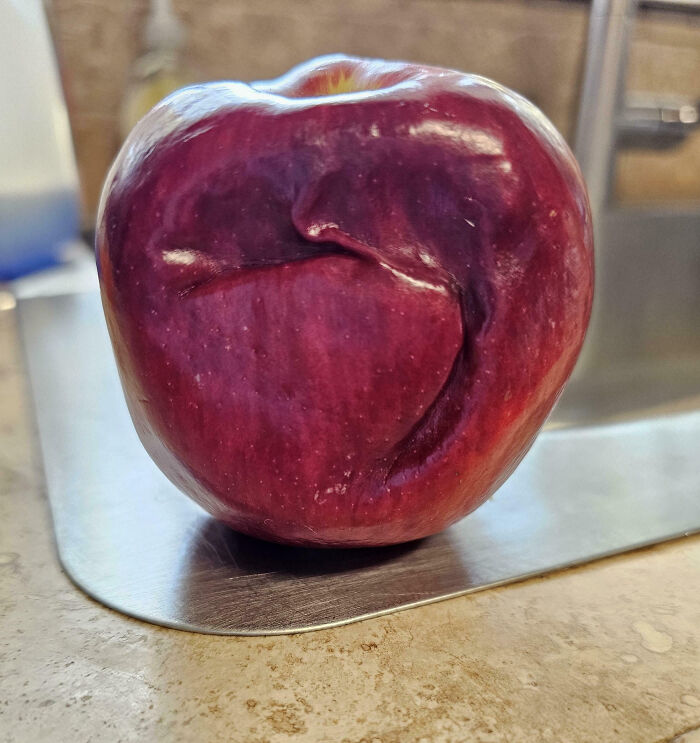 Red apple with unusual deep crease and fold on its skin, an interesting pic showing natural fruit imperfections.