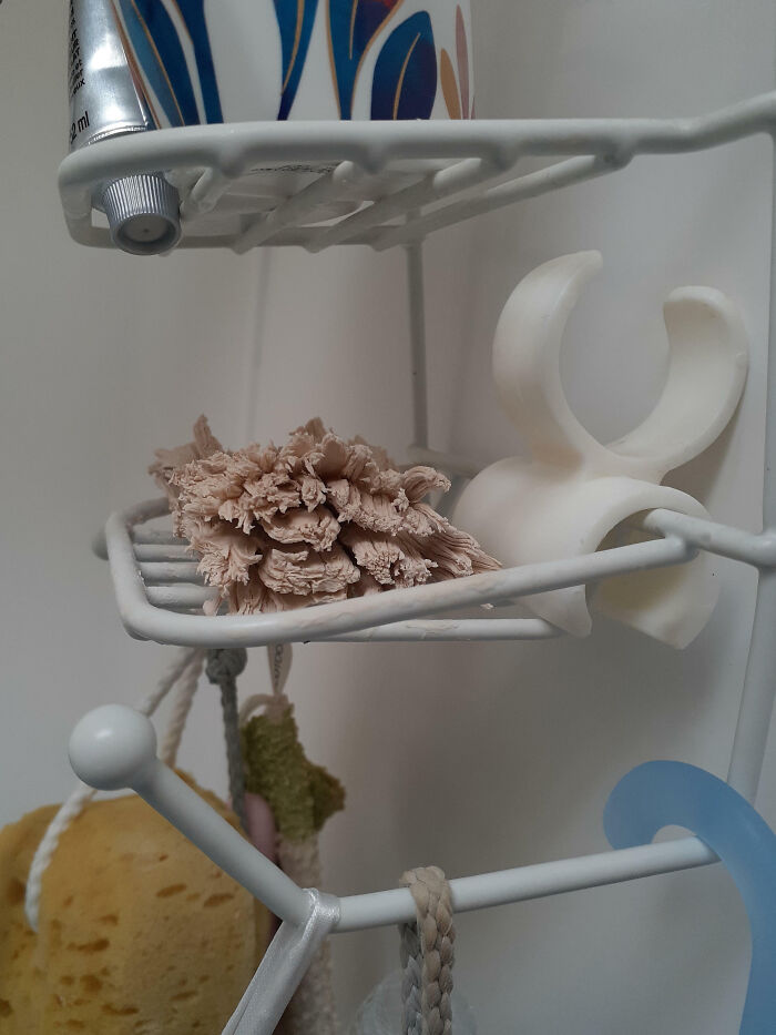 Close-up of a bathroom shelf holding a tube, soap holder, and exfoliating bath accessories in an interesting pic.