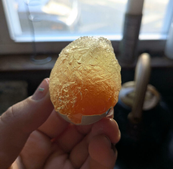 Close-up of a hand holding an interesting translucent egg with a textured surface, one of the interesting pics.
