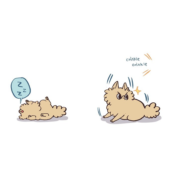 Illustration by Malaysian artist showing a fluffy dog sleeping and then alert with crinkle sounds, relatable life moments.