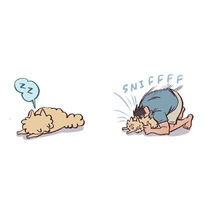 Malaysian artist cartoon shows tall geeky husband sniffing their relaxed sleeping pet in a relatable comic scene.