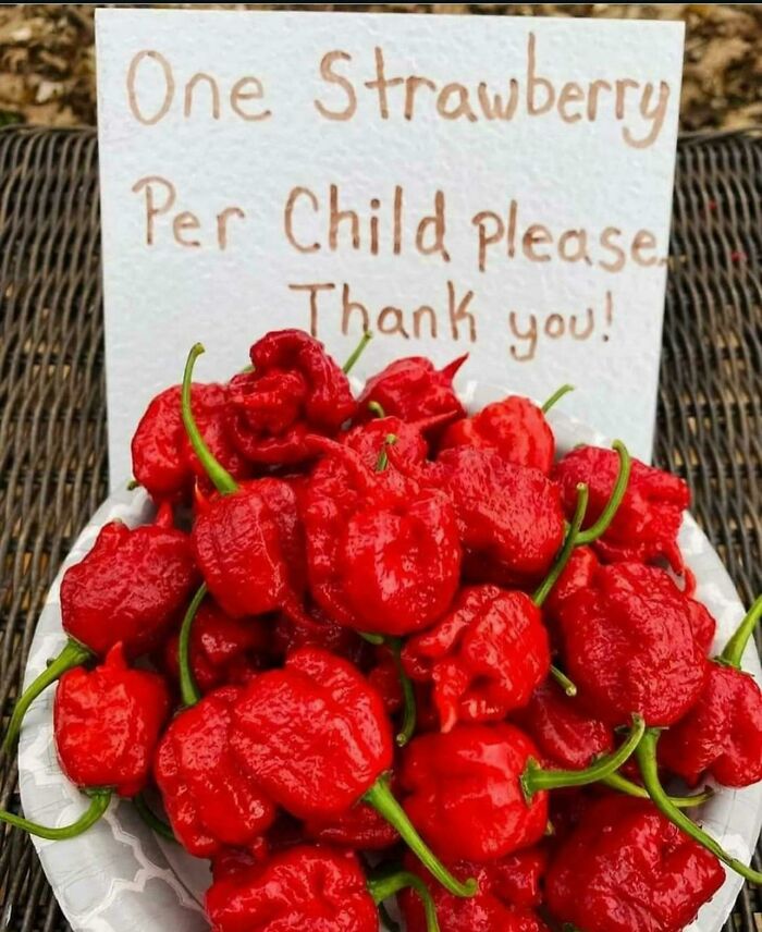Bowl of bright red hot peppers with a sign asking for one strawberry per child, illustrating posts that go from 0 to 100.