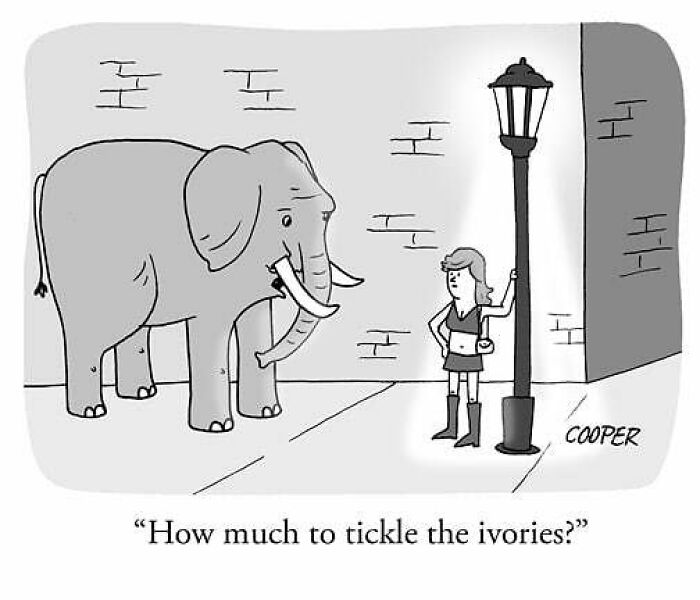 Cartoonist Nathan Cooper one-panel comic showing a woman asking an elephant how much to tickle the ivories on a street.