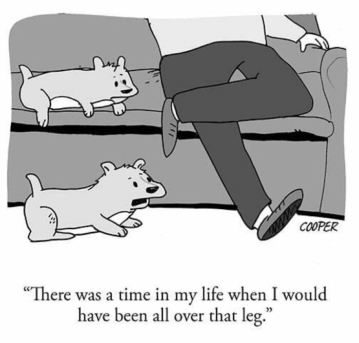 Cartoonist Nathan Cooper comic shows two dogs focused on a person's leg, highlighting humor in modern living.