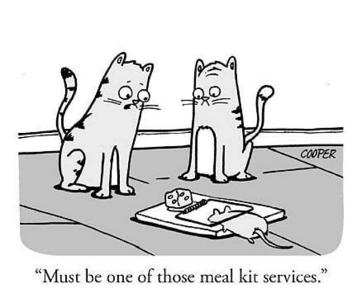 Cartoonist Nathan Cooper one-panel comic of two cats observing a trapped mouse, depicting the funny side of modern living.