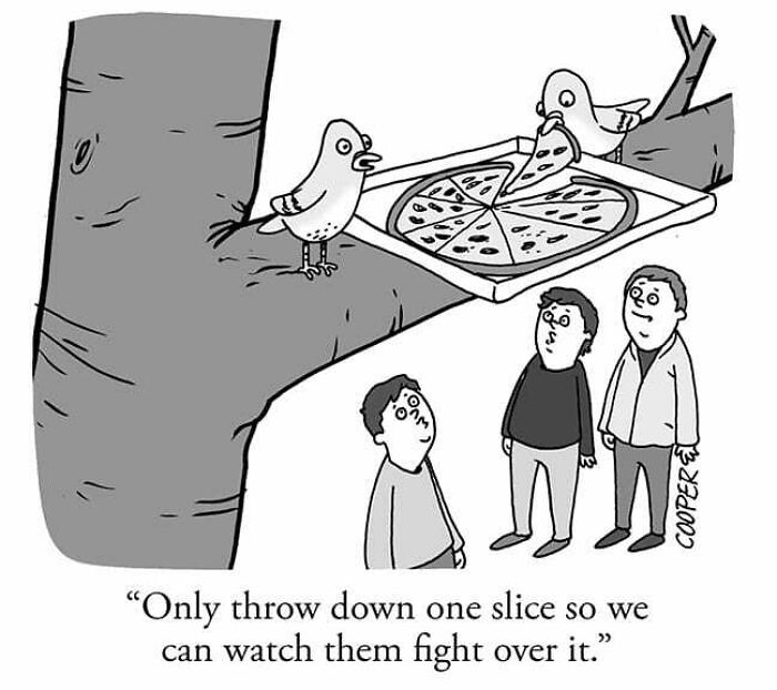 Two birds fighting over a pizza slice on a tree branch, observed by three people in a cartoon by Nathan Cooper.