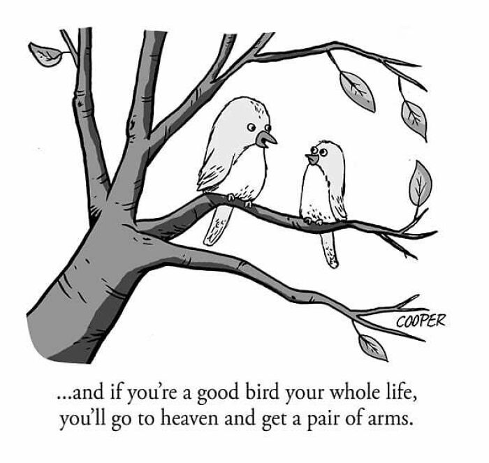 Cartoonist Nathan Cooper's black and white one-panel comic shows two birds on a tree branch sharing a humorous message.