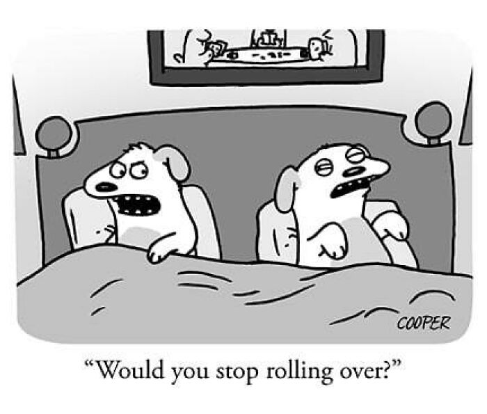 One-panel comic by Nathan Cooper showing two dogs in bed, one annoyed at the other for rolling over, depicting modern living humor.