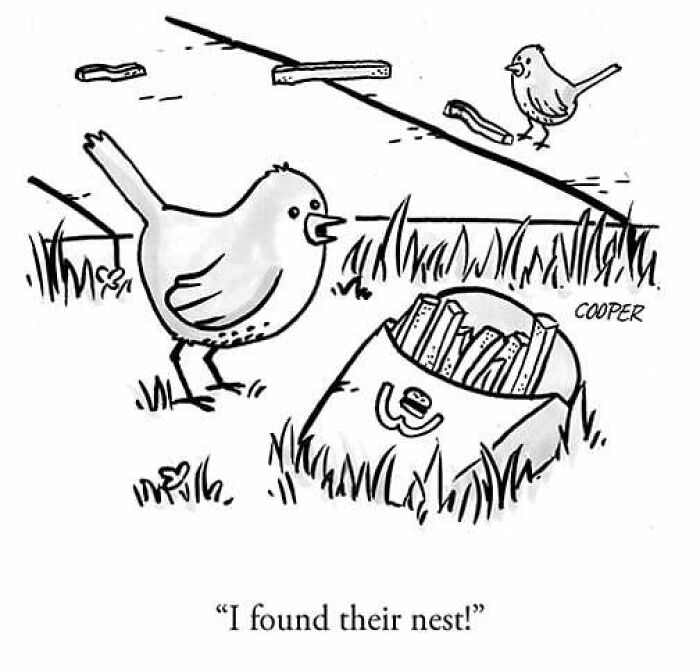 Cartoonist Nathan Cooper’s one-panel comic showing birds discovering a box filled with French fries as their nest.