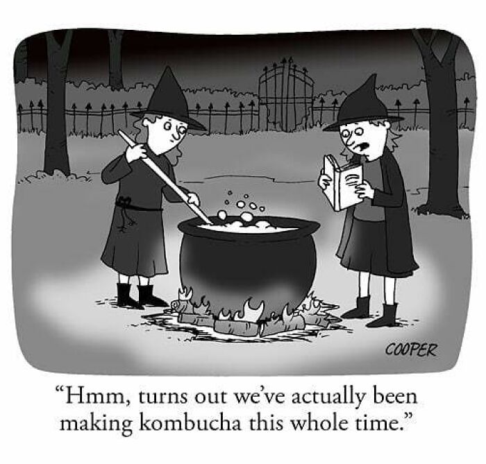Cartoonist Nathan Cooper’s one-panel comic shows two witches making kombucha in a forest at night.
