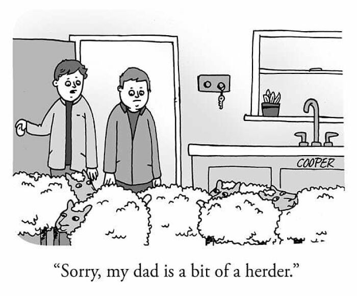 Two men standing in a kitchen surrounded by sheep in a cartoon by Nathan Cooper about modern living humor.