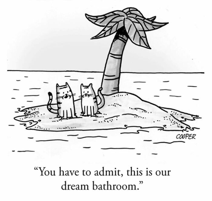 Two cats on a tiny island with a palm tree, humorously illustrating Nathan Cooper's modern living one-panel comic.