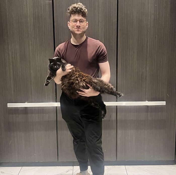 Man holding a floofy cat showing its purrfectly-proportioned belly against a dark wooden panel background.