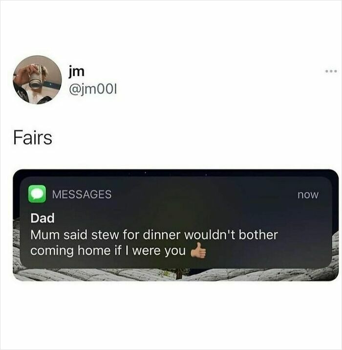 Screenshot of a British text message meme about dinner stew, showcasing unapologetically British humor and culture.