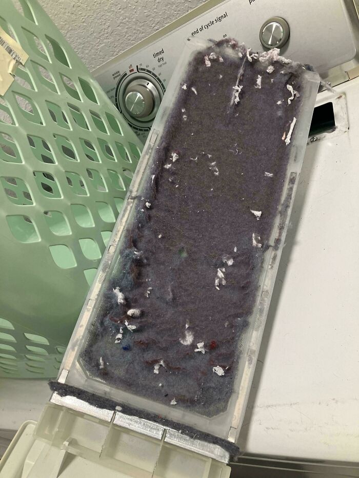 Laundry lint trap heavily clogged with dark lint and debris, showing a family chore that caused infuriation and online venting.