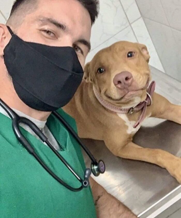 Veterinarian in green scrubs with stethoscope takes a selfie with a smiling dog, showcasing joy in animal photos.