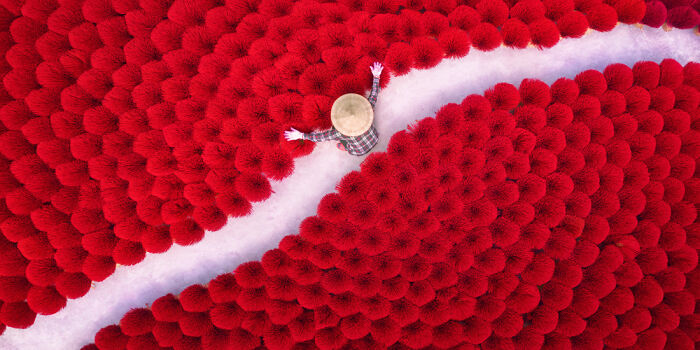 Aerial view of person walking along a white path surrounded by vibrant red objects in a panoramic masterpiece scene.