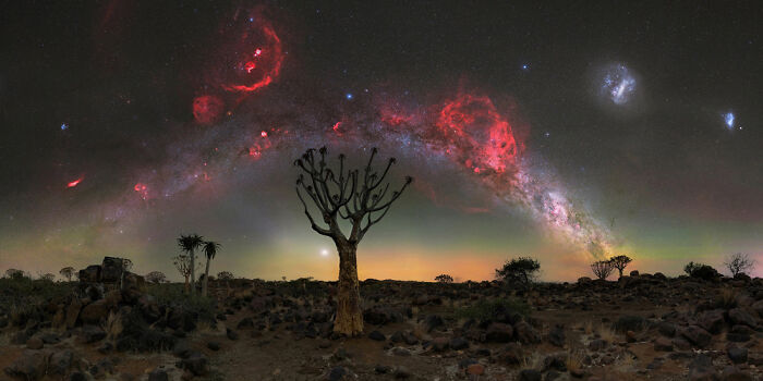 Panoramic masterpiece of a night sky with vibrant red nebulae arching over a silhouetted desert landscape with trees.