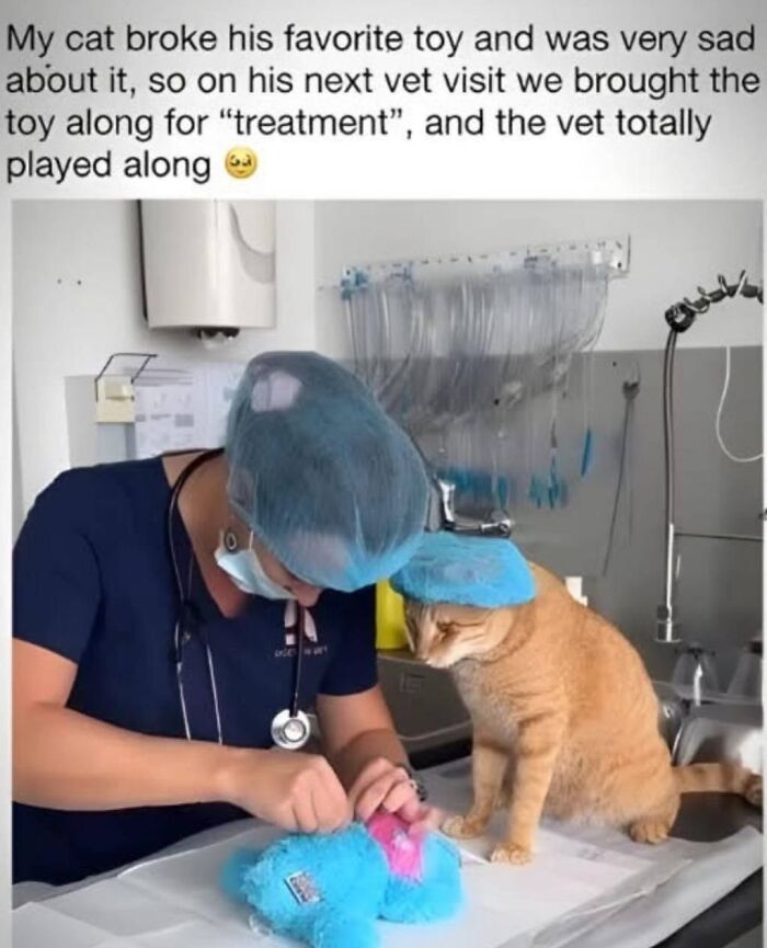 Veterinarian wearing a surgical cap playing along as a cat watches while its broken toy gets treated on the exam table.