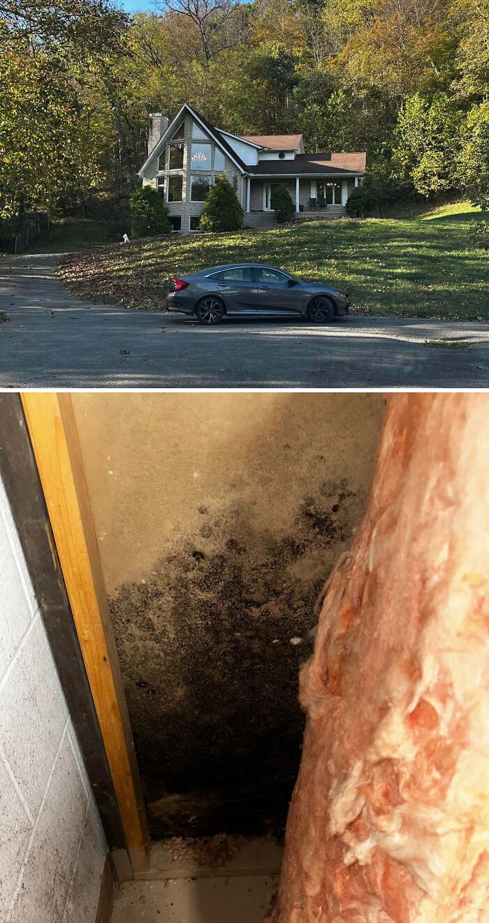 Casa moderna en bosque otoñal con coche estacionado y moho negro dañando un muro interior, fotos para recordar que puede empeorar.