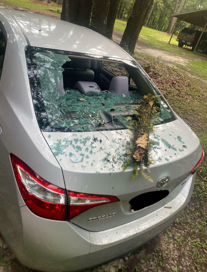 Silver car with a shattered rear windshield and a large tree branch resting on the broken glass, showing total mess disaster.