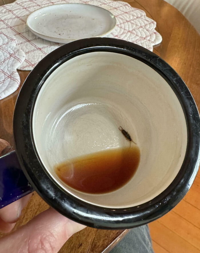 Taza con insecto muerto y líquido oscuro en su interior, ejemplo de imágenes donde todo puede empeorar según fotos virales.