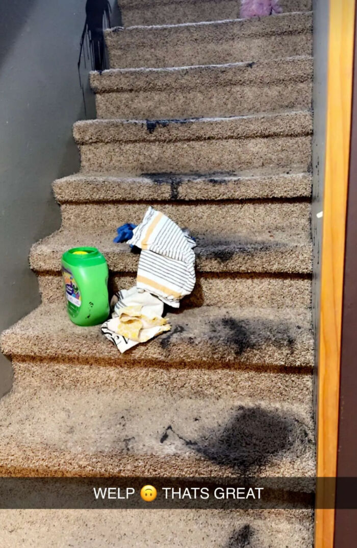 Carpeted stairs stained with black mess and cleaning supplies, showing a total mess situation that can always get worse.