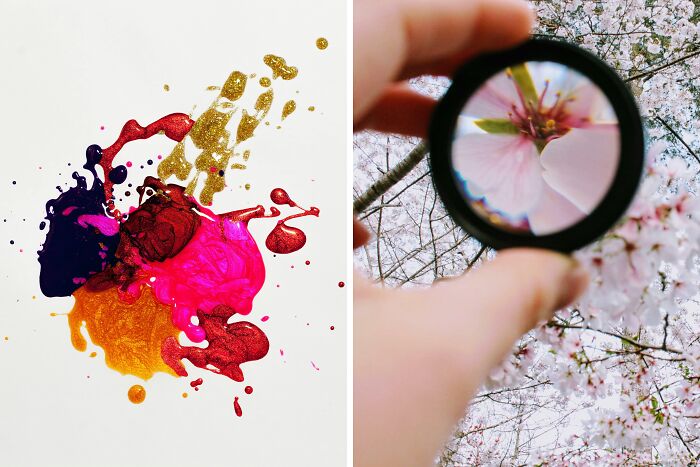 Abstract colorful paint splash beside hand holding magnifying lens focusing on pink flower petals, illustrating infinite luck or happiness.