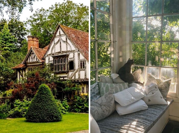 Idyllic dream cottages surrounded by lush gardens and a cozy sunlit window seat with a cat enjoying the view.