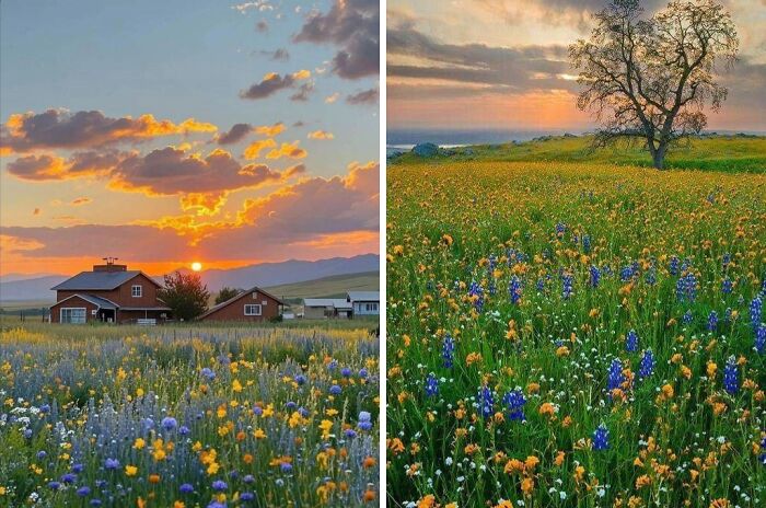 Sunset over rustic dream cottages surrounded by vibrant wildflower gardens in a peaceful countryside setting