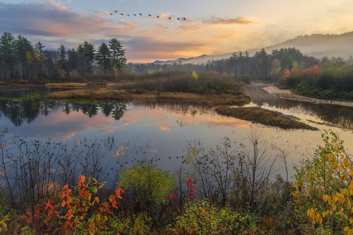 Calm river landscape with colorful trees and flying birds at sunrise, showcasing stunning images from nature photography finals.