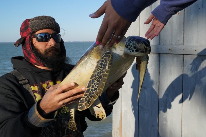 Man holding a sea turtle near the ocean during a nature photography session for stunning images finals.