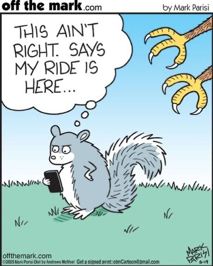 Cartoon squirrel confused by phone, thinking its ride is here, with bird claws reaching down in humorous everyday life scene.