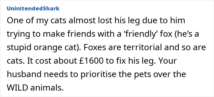 User comment about a cat injured by a territorial fox, urging prioritizing pets over wild animals.