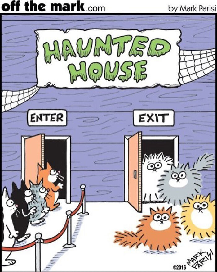 Cartoon showing cats entering and exiting a haunted house, illustrating humor in everyday life moments.