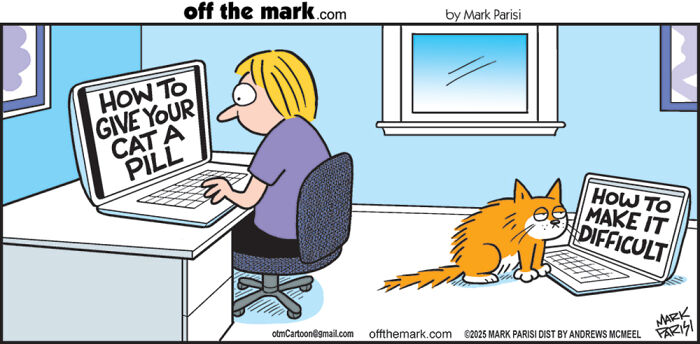 Woman searching how to give cat a pill online while cat looks at laptop titled how to make it difficult cartoon about everyday life humor.